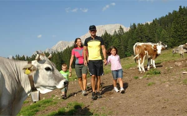 One Night Free - 1 notte GRATUITA