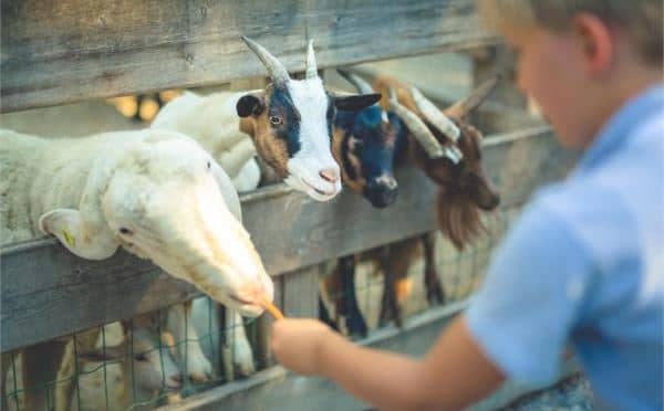Attività nella natura e soggiorno con 1 notte omaggio