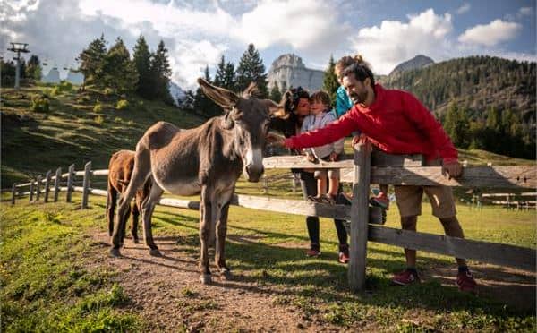 Settimana della Natura con 1 bambino gratis!