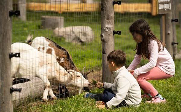 PRIMA VOLTA IN MONTAGNA